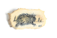 Vintage Hand-Painted Porcupine Brooch