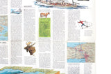 Vintage 1973 National Geographic Double-Sided Close-Up USA Great Lakes Wall Map of Wisconsin & Michigan