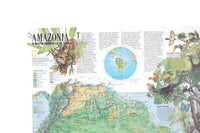 Vintage 1992 National Geographic Double-Sided Wall Map of South America