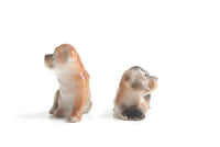 Vintage Pair of Porcelain English Bulldog Puppy Figurines