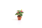 Vintage 1:12 Miniature Dollhouse Anthurium Potted Plant