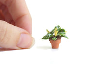 Vintage 1:12 Miniature Dollhouse Potted Zebra Plant