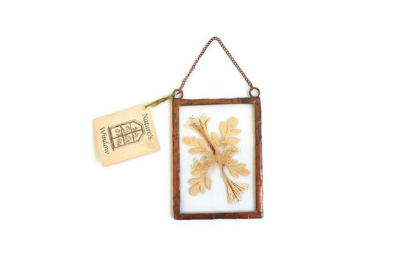 Vintage Framed Pressed Dried Flower Wall Hanging