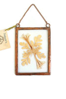 Vintage Framed Pressed Dried Flower Wall Hanging